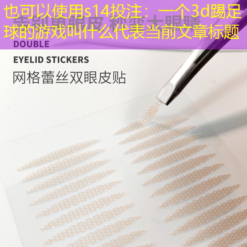 s14投注：一个3d踢足球的游戏叫什么